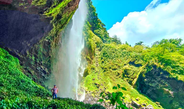 Tour Santuario de las Luciérnagas en Tlatauquitepec con Tour Sin Límites