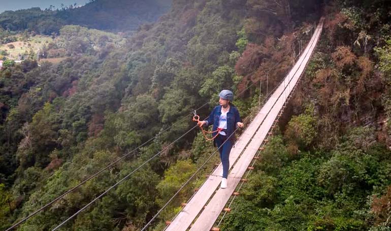 Tour Santuario de las Luciérnagas en Tlatauquitepec con Tour Sin Límites