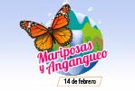 Tour Mariposa Monarca y Angangueo con Tour Sin Límites