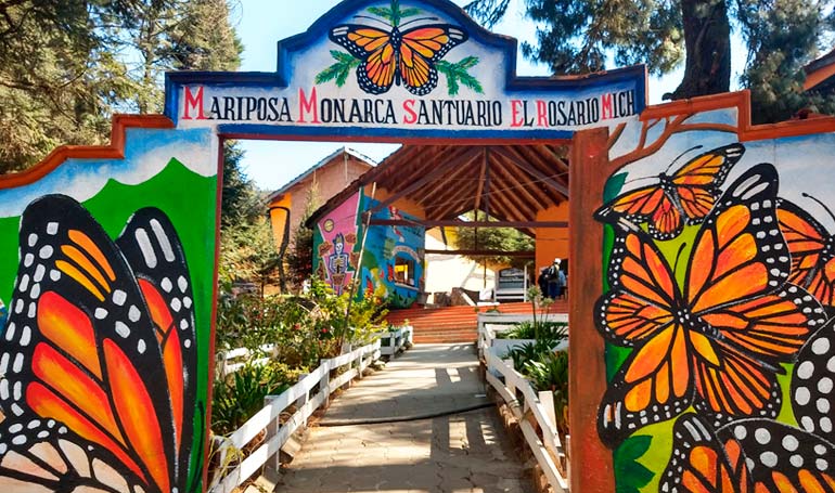 Tour Mariposa Monarca y Angangueo con Tour Sin Límites