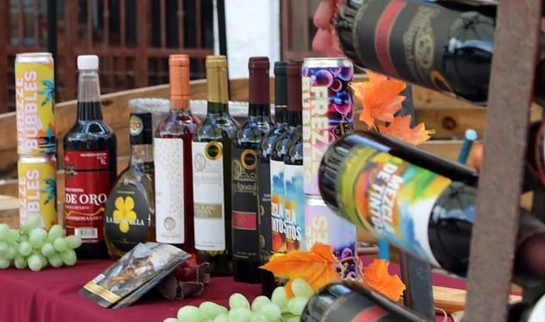 Ruta del Queso y el Vino en Tequisquiapan  - Tour Sin Límites